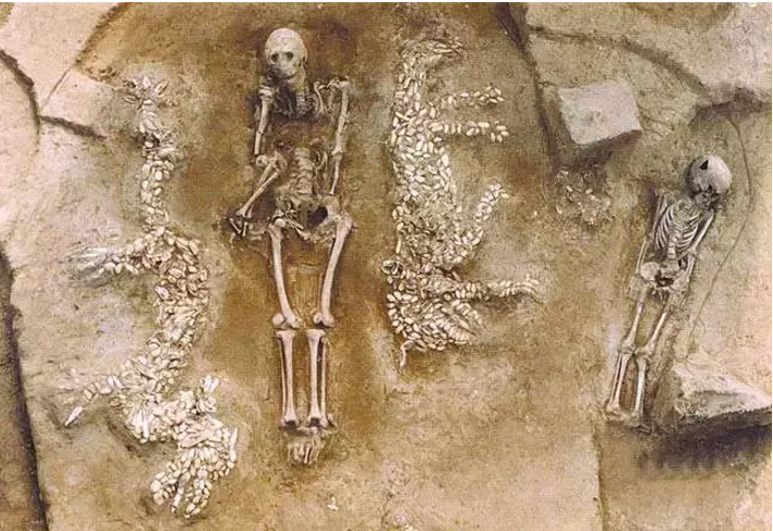 15288872097731.jpg 左青龍右白虎.jpg