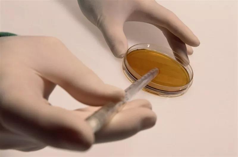 15391531043163.jpg 微信圖片_20181010143831.jpg