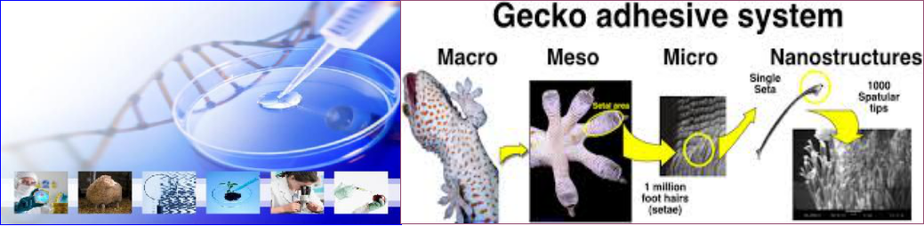 15426942551034.png image.png